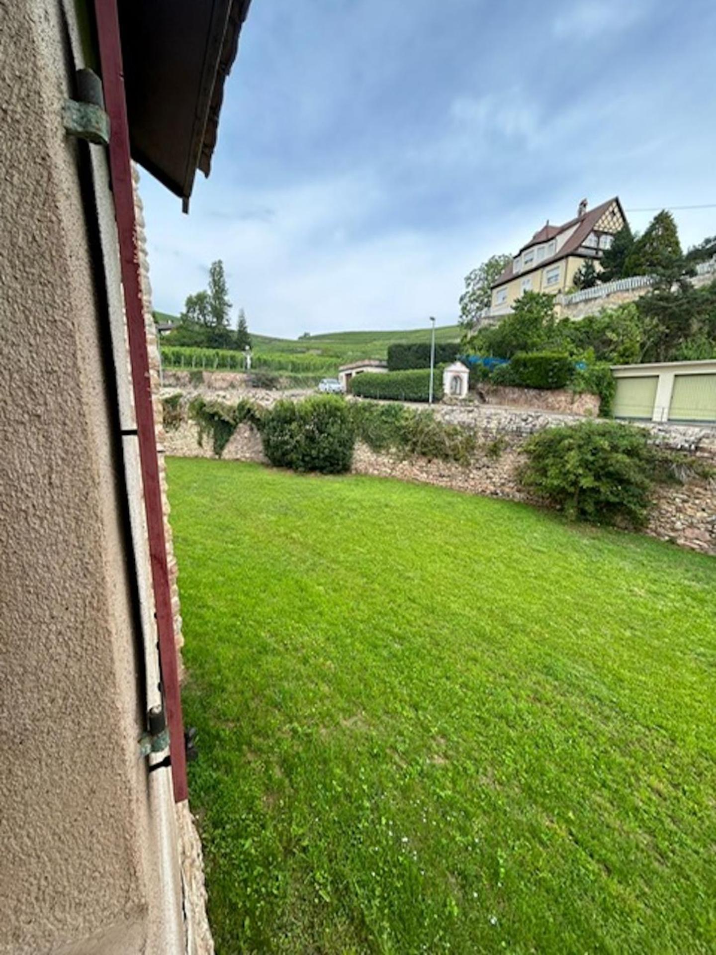 Le Cocon Du Vignoble - Free Wifi - Netflix Turckheim Exterior foto